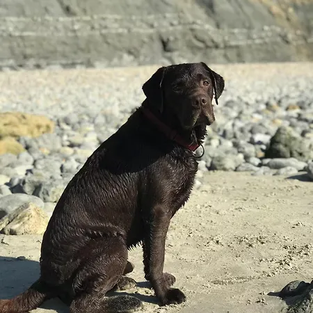 Prázdninový dům Maison Cozy D'anne So